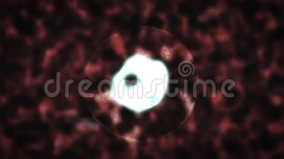 显微镜下细胞分裂红色视频的预览图