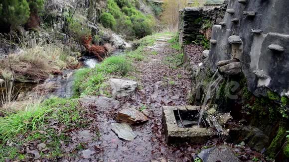 石头在大自然的小溪附近建造了喷泉视频的预览图