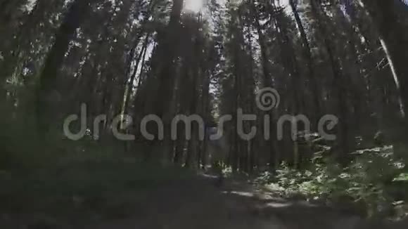 在森林里玩滑板视频的预览图