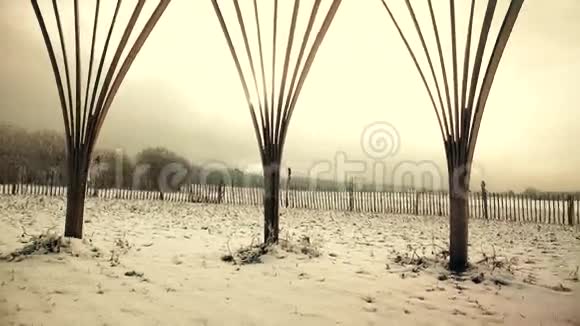 潘拍冬季景观提皮视频的预览图