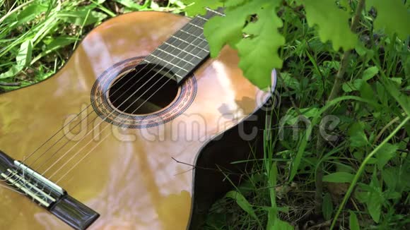 在树林里弹声吉他视频的预览图