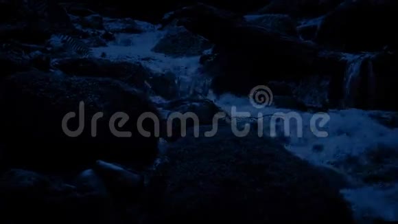 在夜间近距离移动过去的森林河流视频的预览图