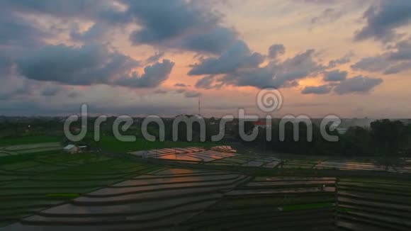 日落时稻田和巴厘岛的风景录像视频的预览图