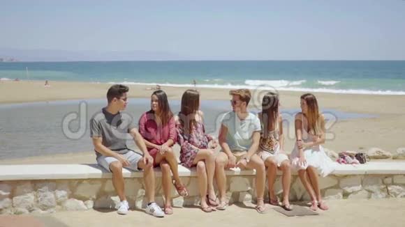 一群在海边放松的年轻学生视频的预览图