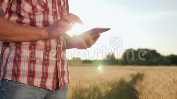 农民在日落时使用数字平板电脑视频的预览图