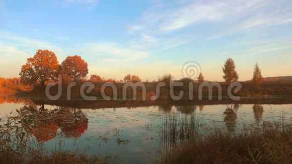美丽的秋天平静的森林湖视频的预览图