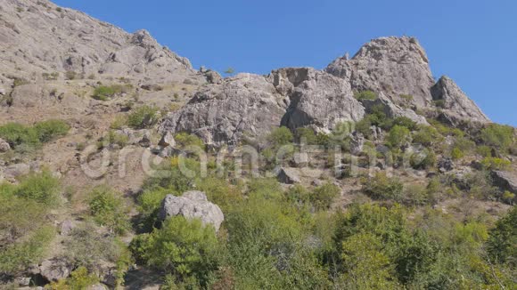 山崖全景视频的预览图