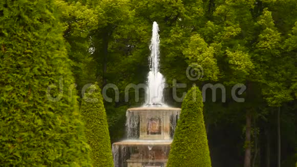佩特戈夫下花园的罗马喷泉视频的预览图