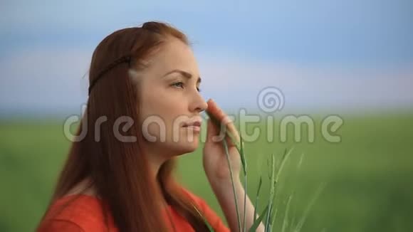 晚上一个红发的年轻美女站在一片绿麦子的田野里把麦穗放在她的地里视频的预览图