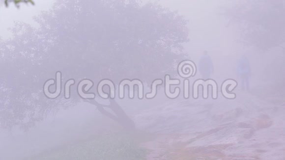 浓雾覆盖森林景观夏天人的剪影视频的预览图