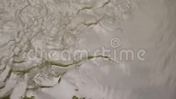 从上面看水流湍急而冒泡河水呈褐色视频的预览图