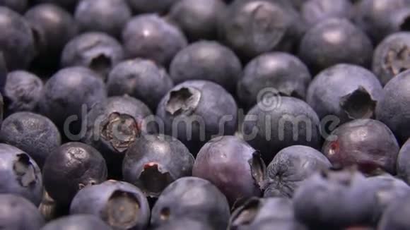 大块多汁的蓝莓在浆果表面滚动视频的预览图