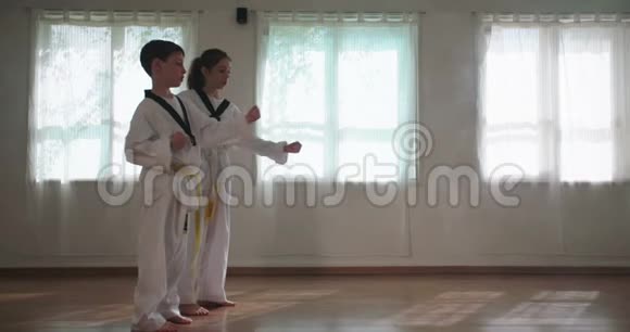 青少年练习武术的慢镜头视频的预览图