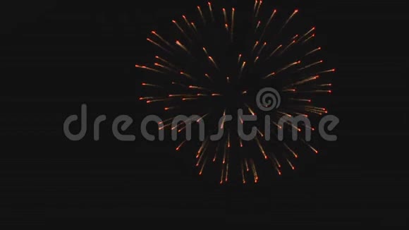 烟花在夜空中展示视频的预览图