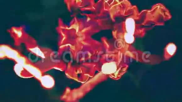 在黑暗中多个快速流动的炽热粒子3D循环视频的预览图