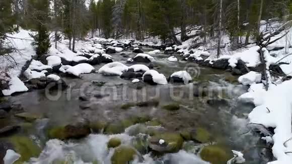 爱达荷州红鱼溪的冬季水流视频的预览图