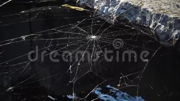 水面上横架的蜘蛛网视频的预览图