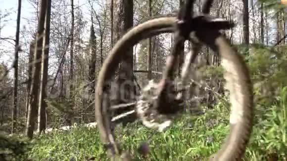 一个山地车司机骑着自行车骑着森林自行车慢镜头拍摄视频的预览图