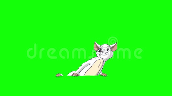 白鼠爬出来然后隐藏动画Chroma键视频的预览图