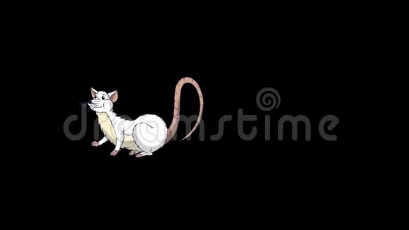 白鼠睡着了醒来动画阿尔法马特视频的预览图