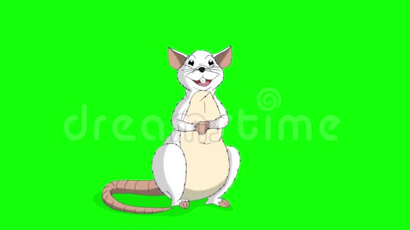 白鼠坐着笑动画ChromaKey视频的预览图