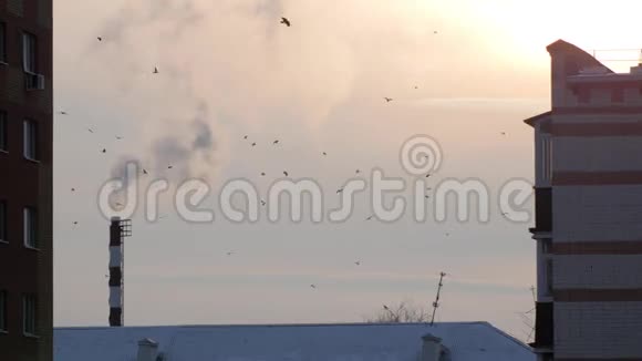 居住房屋的屋顶冬天的夕阳烟雾笼罩着城市的鸟群视频的预览图