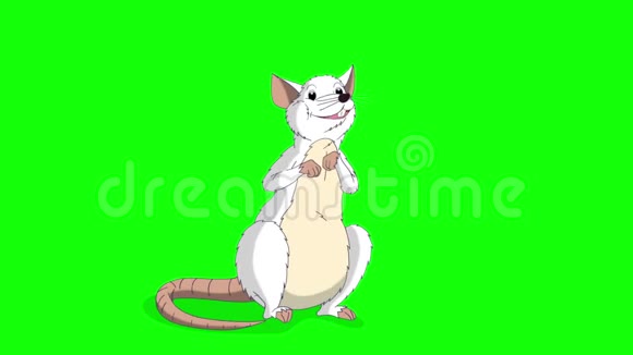 白鼠坐着在说动画视频的预览图