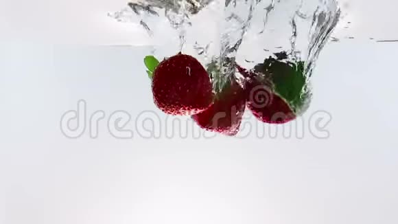 红色的新鲜水果草莓溅起水花在白色背景上缓慢移动草莓有利于健康视频的预览图