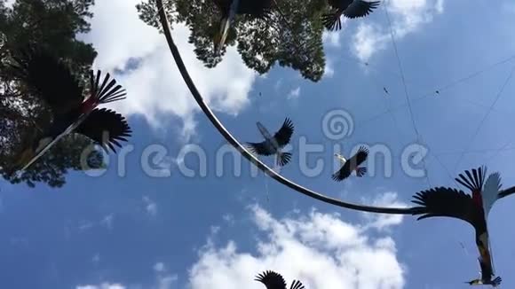 鸟儿装饰在天空背景下旋转视频的预览图