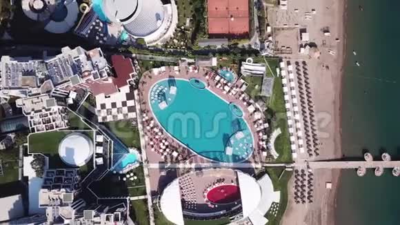 酒店泳池边有阳伞和棕榈树剪辑上景拍摄游泳池环绕棕榈和绿色花园视频的预览图