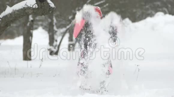 快乐的孩子在雪地里玩耍的慢动作快乐的女孩在冬日外面玩得开心视频的预览图
