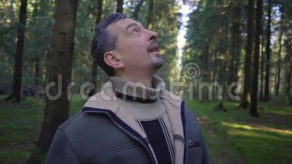 樵夫带着锯子在树林里散步选择树木视频的预览图