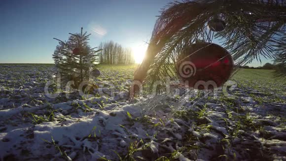 圣诞树上面有装饰物和子放在冬季傍晚的雪地上视频的预览图