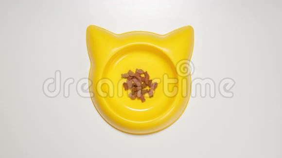 顶部视图猫餐填充黄色盘子停止运动视频的预览图
