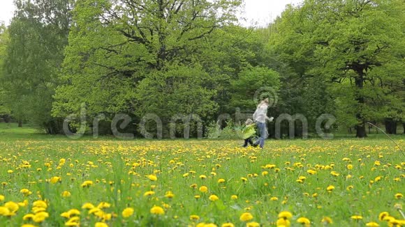 一个带着孩子的年轻女人正带着蒲公英在田野里走来走去视频的预览图