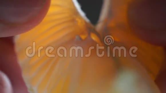 成熟柑橘瓣的花宏观视频视频的预览图