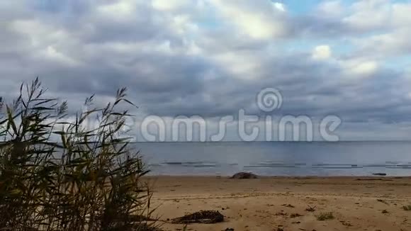 海滩秋季时光流逝视频的预览图