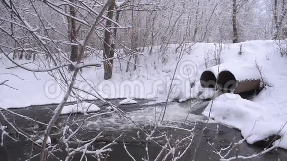 铂金在冬林中溪水从融化的雪树木覆盖着雪视频的预览图