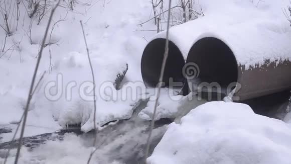溪水自融雪铂金在冬林中树木覆雪视频的预览图