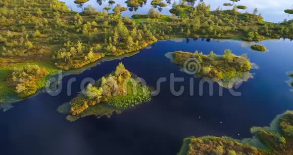 白俄罗斯伊尔尼亚沼泽有岛屿的湖泊视频的预览图