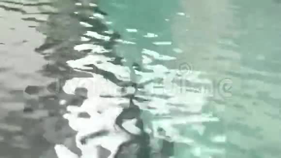 蓝色游泳池水中阳光的反射视频的预览图