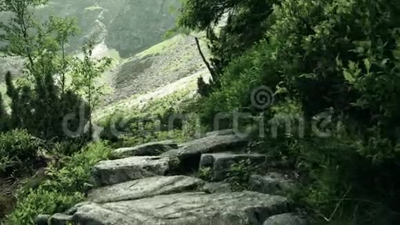 沿着多山的森林岩石小径行走视频的预览图