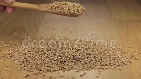 麦粒从一堆小麦上的木勺中得到足够的睡眠视频的预览图