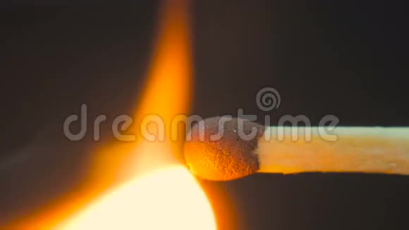 一根点燃的木火柴烧着视频的预览图