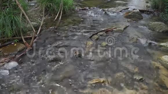 小热带山区河流石底视频的预览图