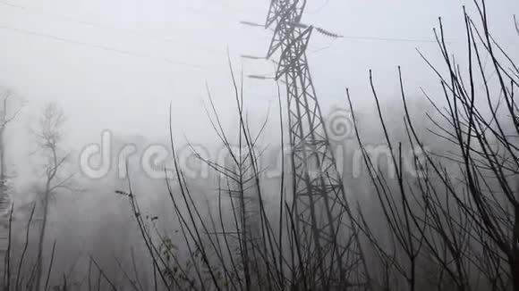 穿越雾蒙蒙的早晨森林的高压载波电力线视频的预览图