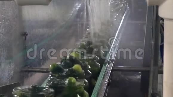 罐头厂黄瓜生产的工作过程罐头的巴氏杀菌输送机上的移动视频的预览图