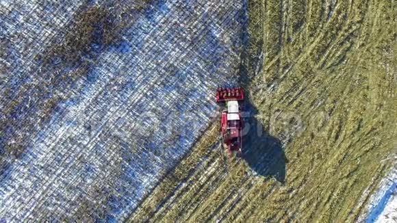 4K联合收割机在第一场雪后在玉米地工作收割机正在切熟的干玉米高空俯视图视频的预览图