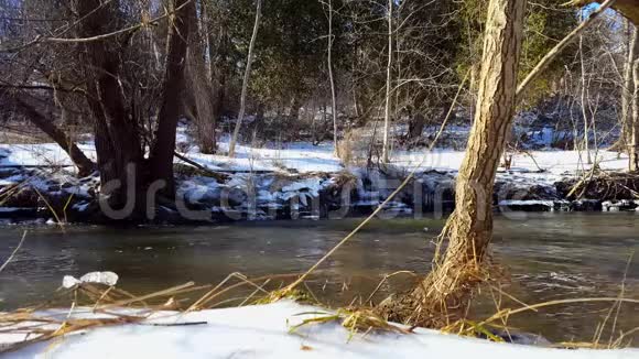 冬天的雪岸河冰冷的水流着河边的雪周围环绕着美丽的树木视频的预览图