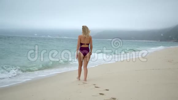 在天堂的沙滩上穿着泳衣的美女视频的预览图